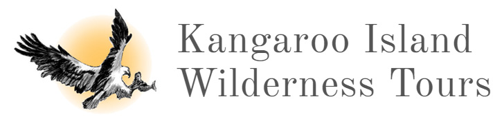 Kangaroo Island Wilderness Tours